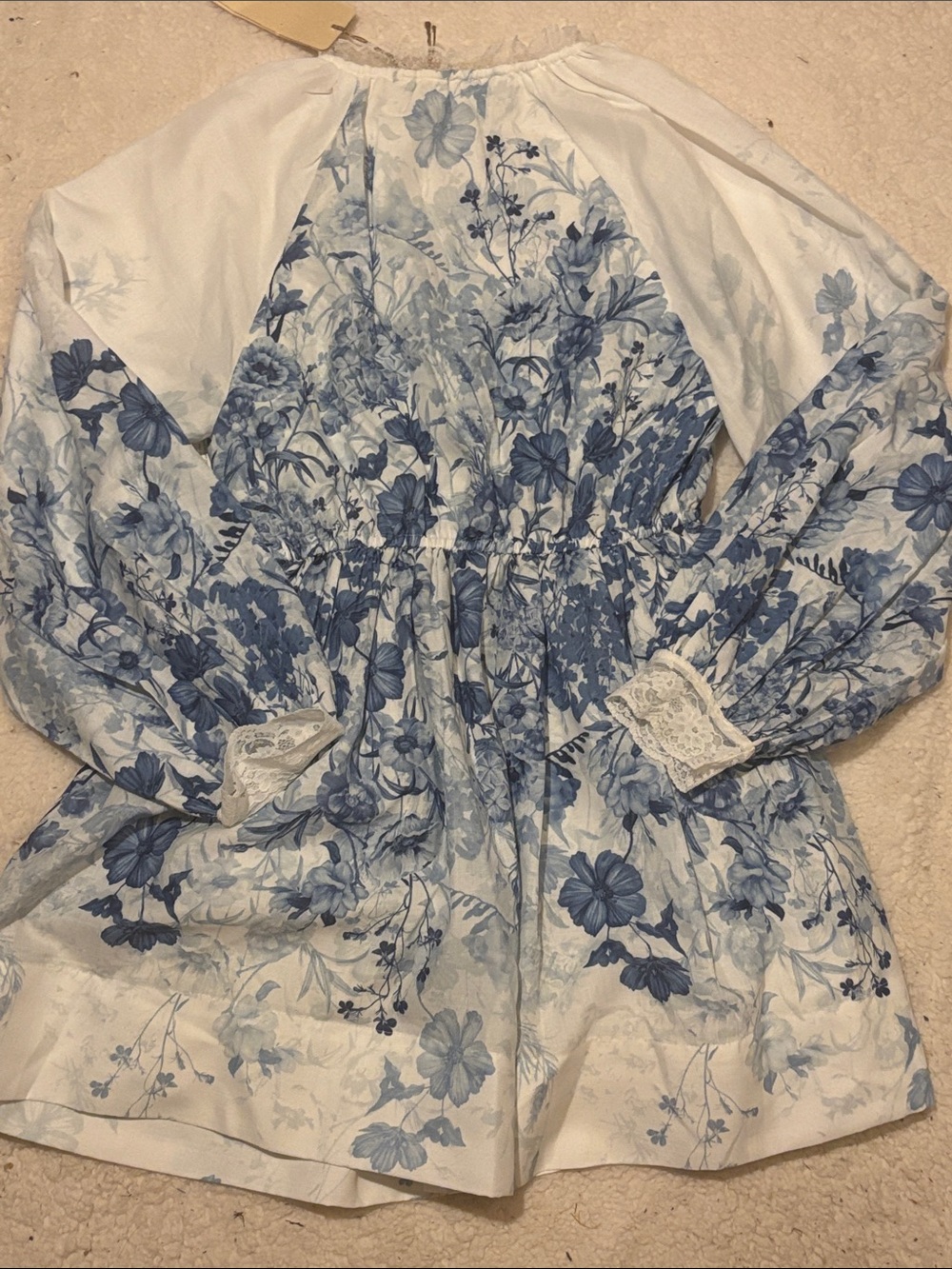Anthropologie Let Me Be Floral Mini Dress - Picture 7 of 15
